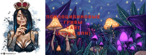 PSILOCYBIN Новодвинск