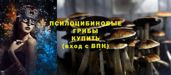 PSILOCYBIN Новодвинск