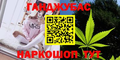ешки Майкоп