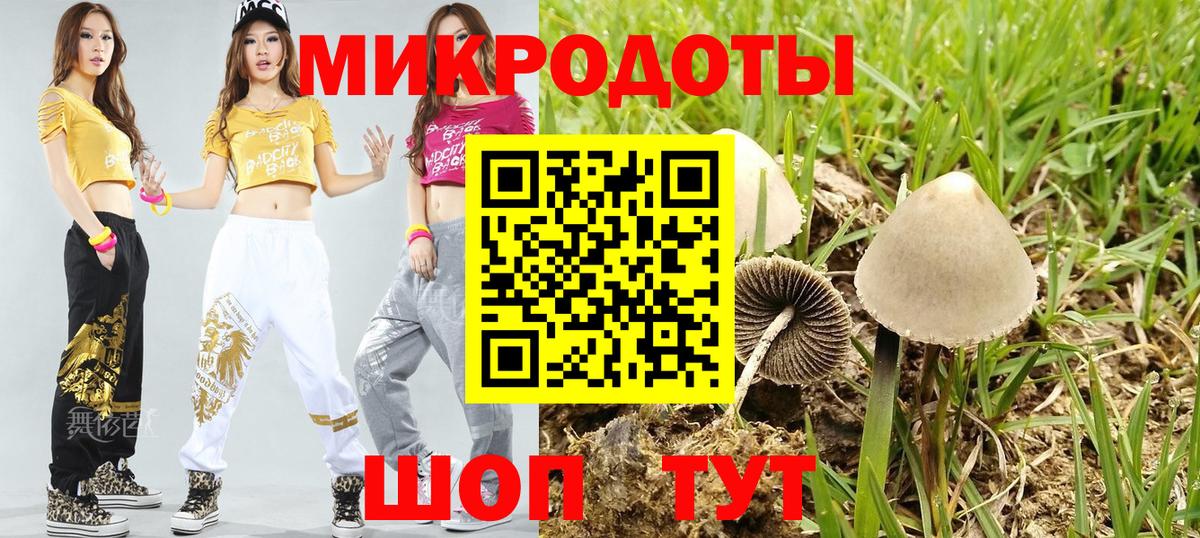Северобайкальск  Псилоцибиновые грибы мухоморы  Вход с VPN 